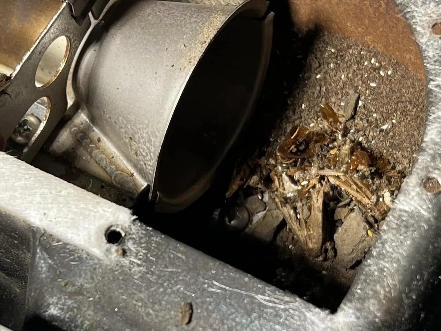 RV furnace burn chamber packed with a mud dauber nest, RV propane system service